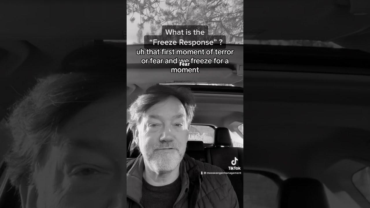 What is The Freeze Response? Most Know Fight or Flight, But Freeze Is A ...