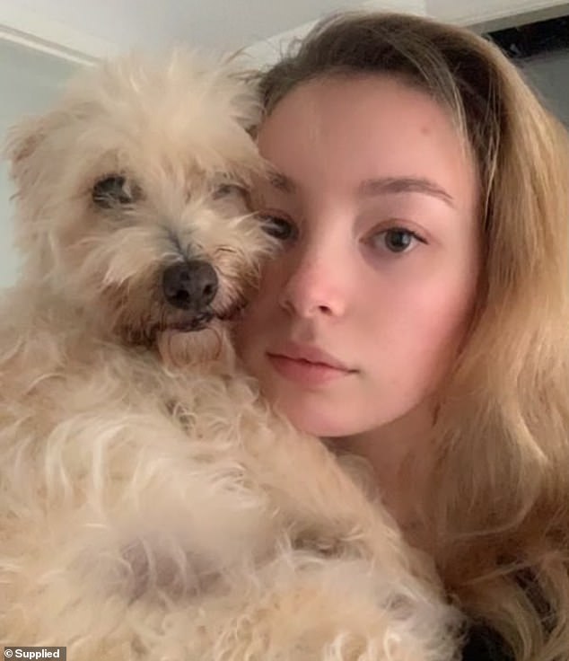 Anna Rowe is facing a $6,000 surgery, which she can't afford as a Melbourne university student, to remove a large skin cancer that started as a small, pimple-like spot