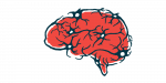 An illustration shows neurons, or nerve cells, in the human brain, shown in profile.