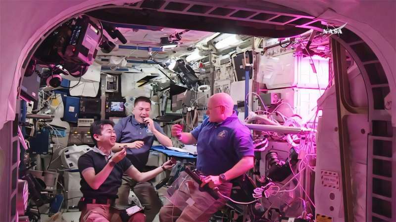 Add astronaut nutrition to the list of barriers to long-duration spaceflight