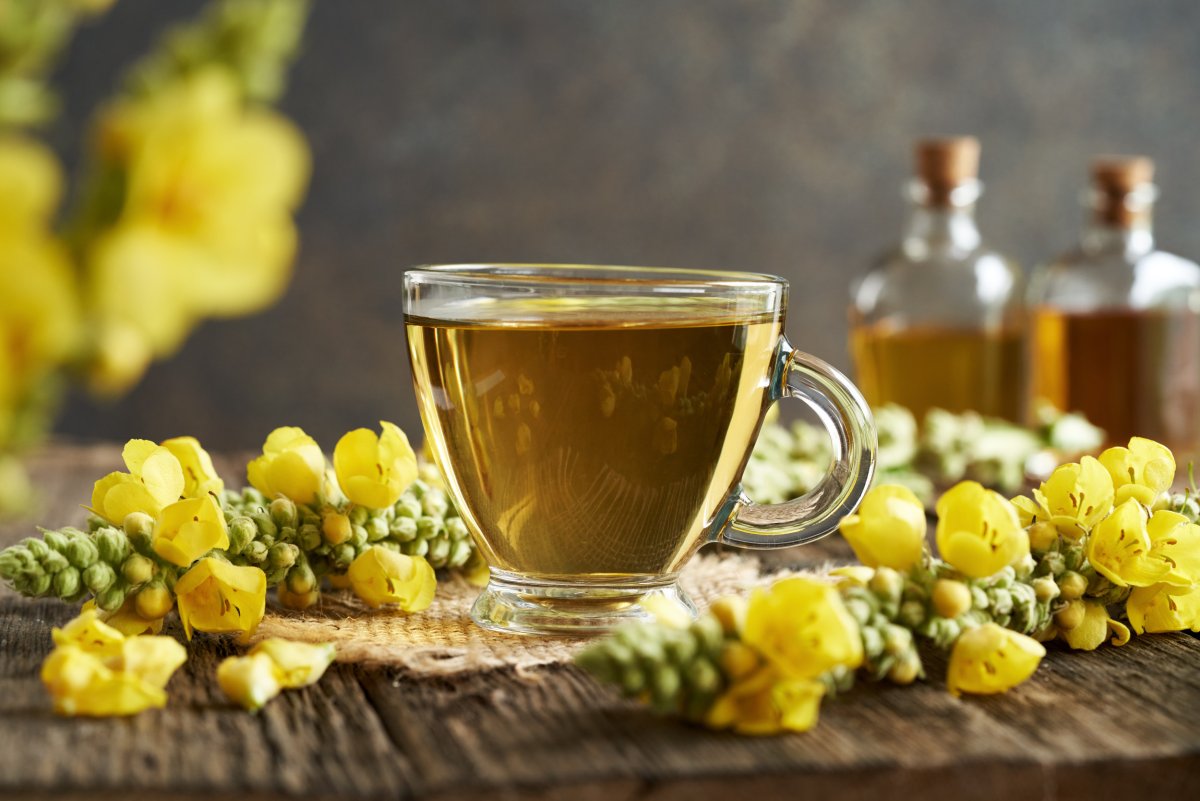 Mullein or Verbascum tea in transparent cup