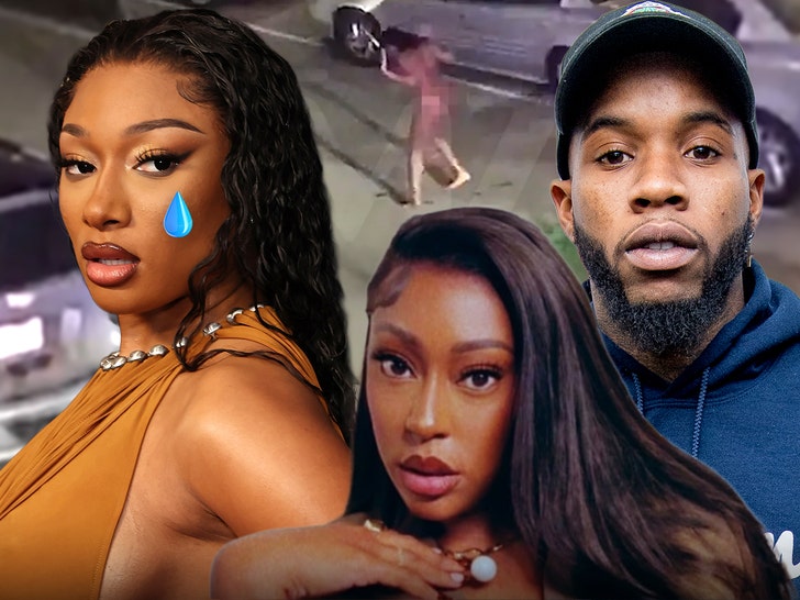 megan thee stallion tory lanez milagro gramz main getty tmz givesendgo composite