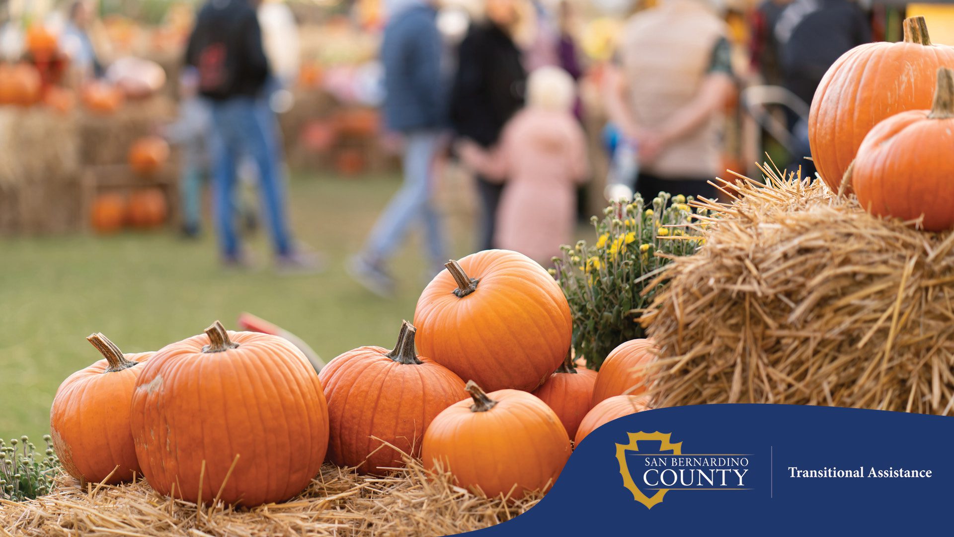 A festive fall scene featuring a stack of bright orange pumpkins resting on hay bales in the foreground. The background is softly blurred, showing a group of people walking and talking at what appears to be a pumpkin patch or autumn fair.