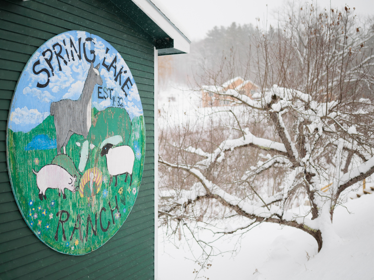 A painted sign reading "Spring Lake Ranch" with animals is mounted on a green building; snow-covered trees are in the background.