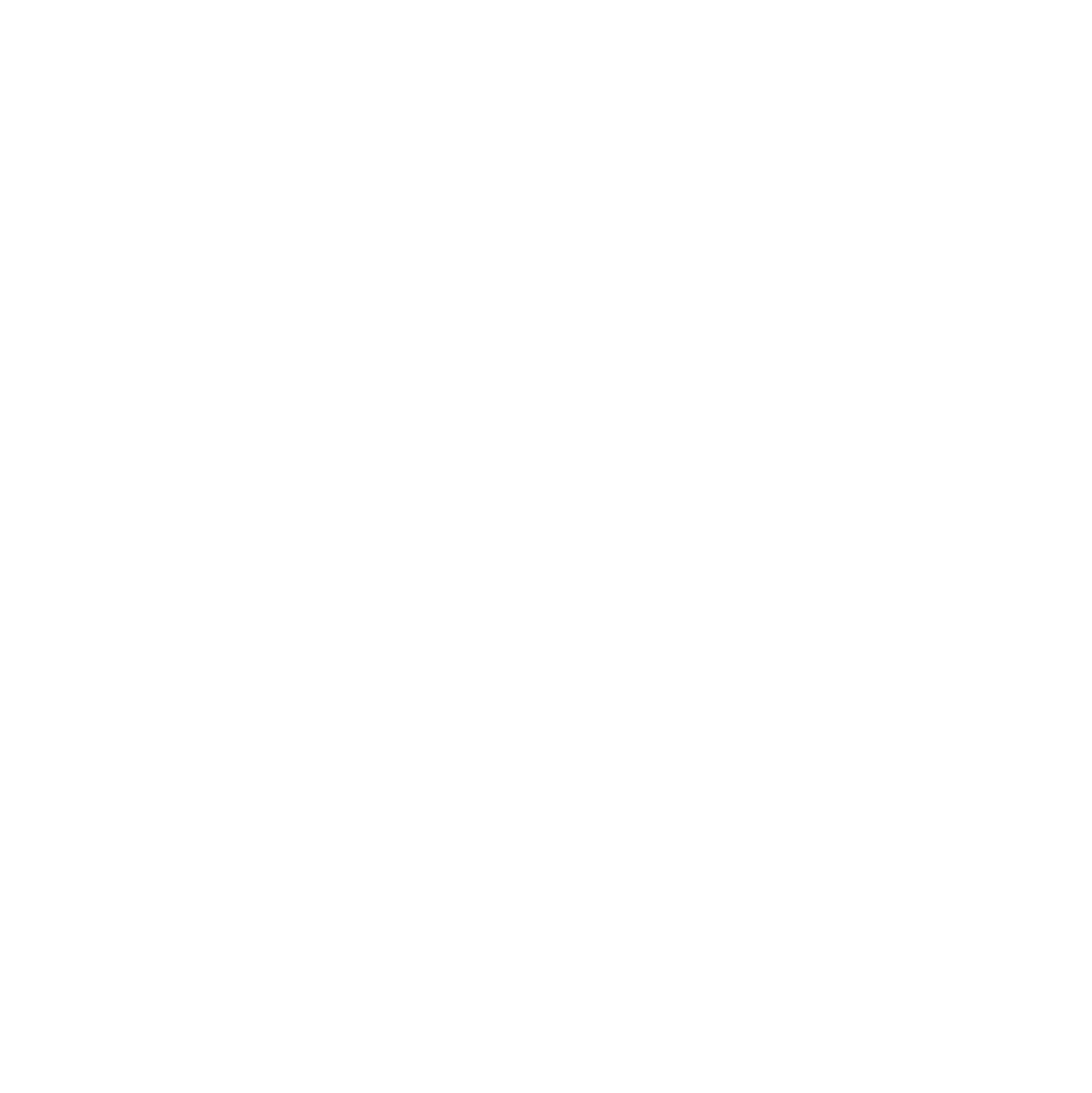 outline of state of south carolina with a star in the middle 