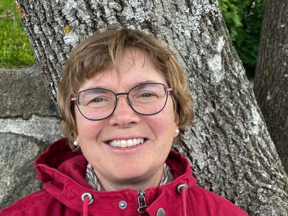 Anne Holter Bentzrød works with ung.no at the Norwegian Directorate for Children, Youth and Family Affairs.