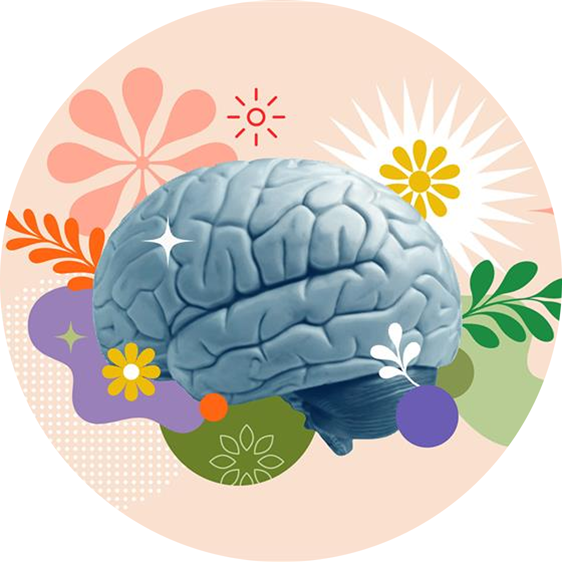 An illustration of a creative mind brain concept