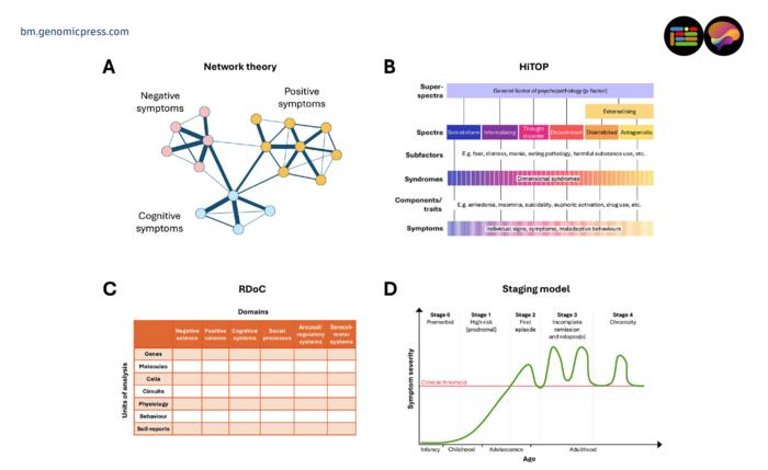 Key conceptual frameworks redefining psychiatric diagnosis.