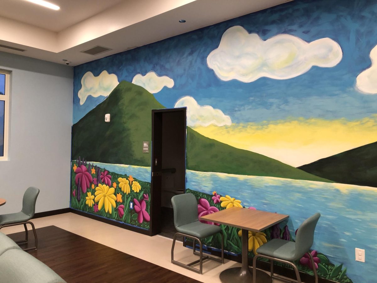 2023 Peer Living Room Mural Avita 1