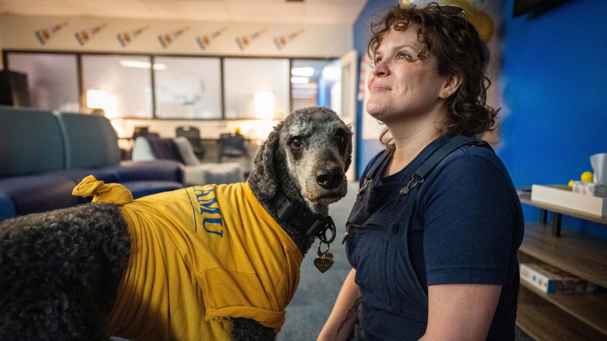 On the left, a dog in a yellow tshirt looks at the camera. On the right, a woman looks up toward the ceiling.