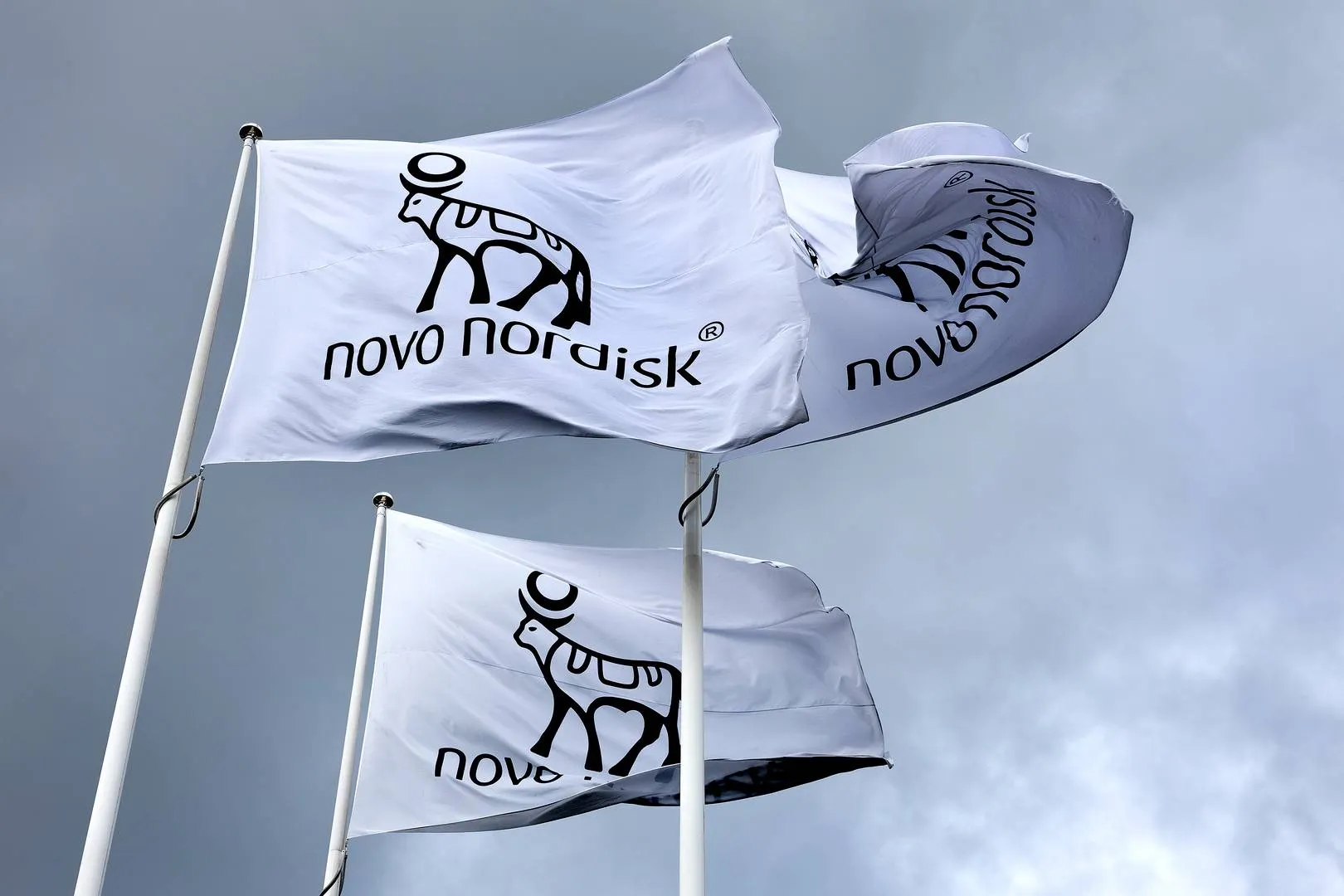MedWatch has contacted Novo Nordisk for a comment on the new trial, but the Danish pharmaceutical company does not wish to comment on the trial. | Photo: Finn Frandsen