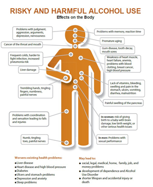 Illustration of the effects of risky and harmful alcohol use on the body.