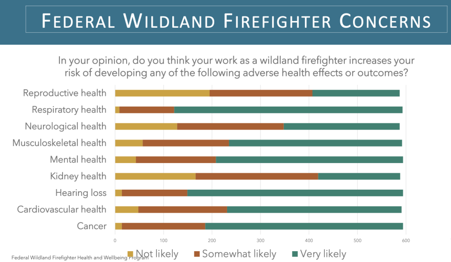 A chart summarizing results of a survey of wildland firefighter health concerns