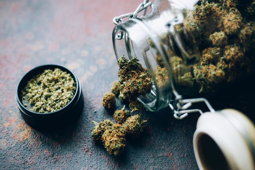 Levels of THC in cannabis have risen from about 4% in the 1970s to more than 20% today.