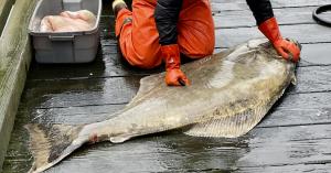 preparing for fishing season camai