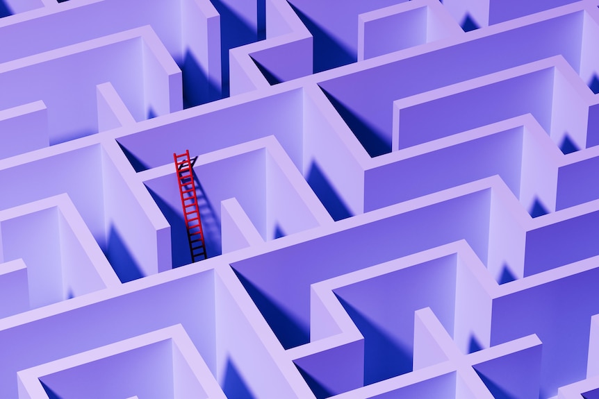 Digital artwork of a maze, with a ladder to escape it.