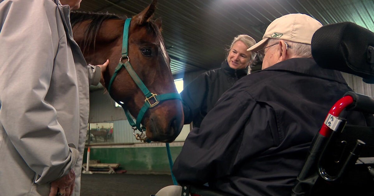 6p-pkg-seniors-horse-therapy-wccoabpp.jpg 
