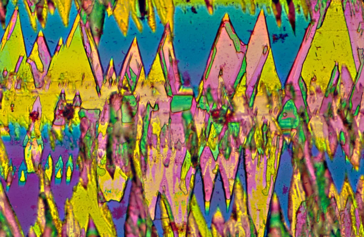 A light micrograph of tetrahydrocannabinol (THC) crystals. THC is the main psychoactive compound in cannabis