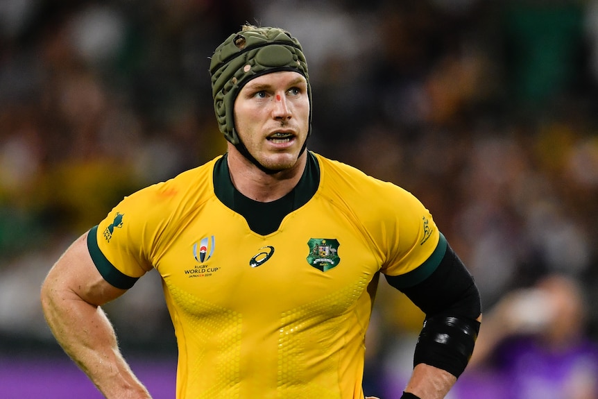 David Pocock, wearing a Wallabies jersey, puts his hands on his hips