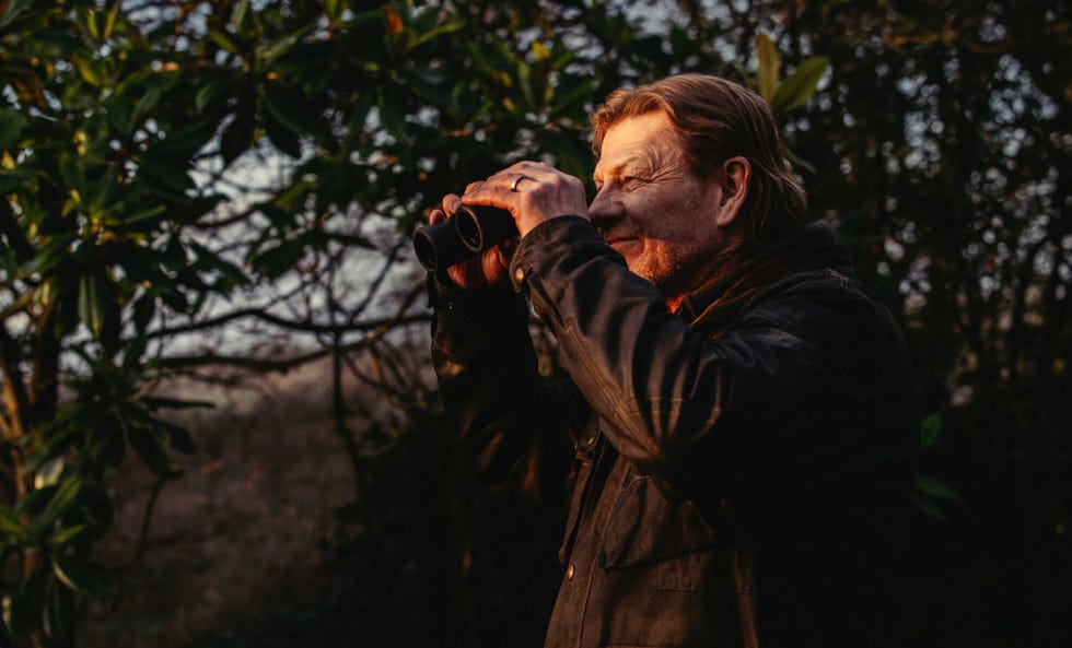 person observing the surroundings using binoculars