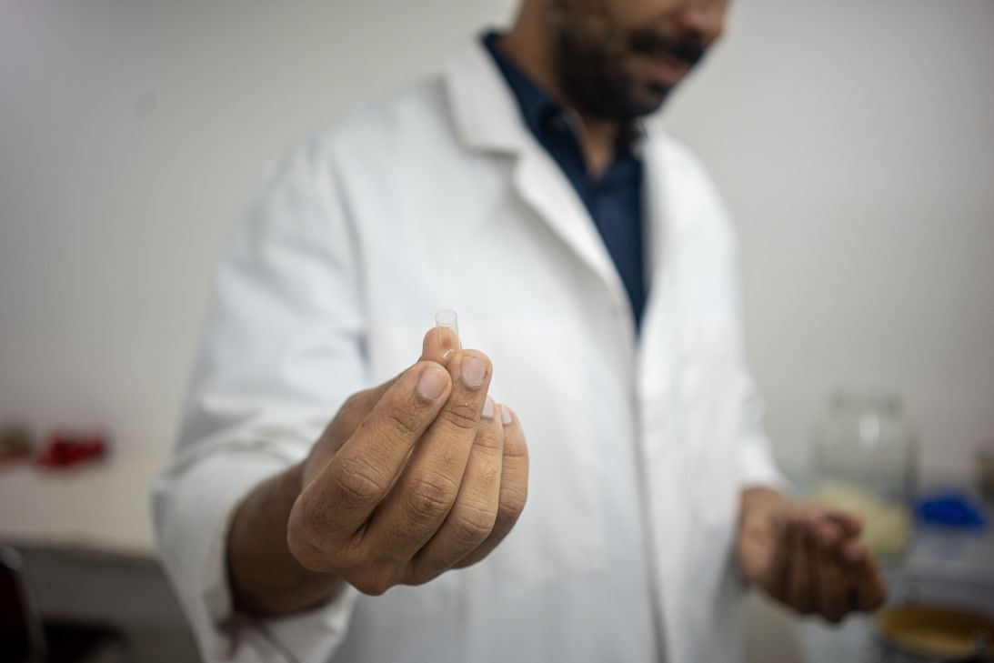 Dr. Yoan Mboussou, a Gabonese microbiologist dedicated to the valorization of traditional knowledge and integrative medicine, shows empty capsules used to hold iboga powder.