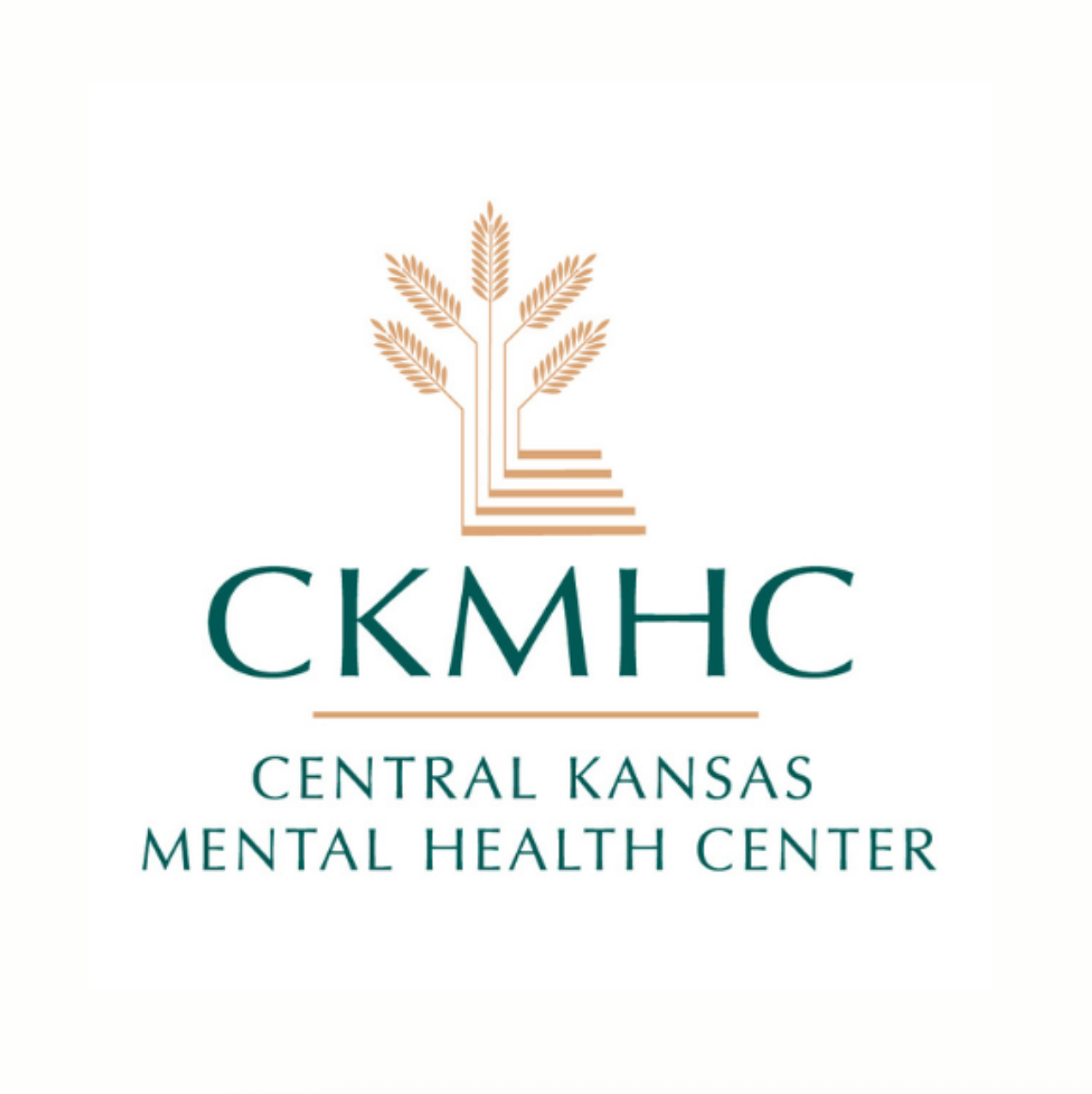 <i>Central Kansas Mental Health Center logo</i>