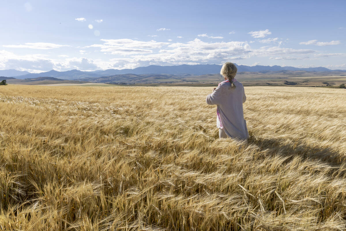 Mature woman uses mobile phone in grain field, mountains distant, Cowley, Alberta