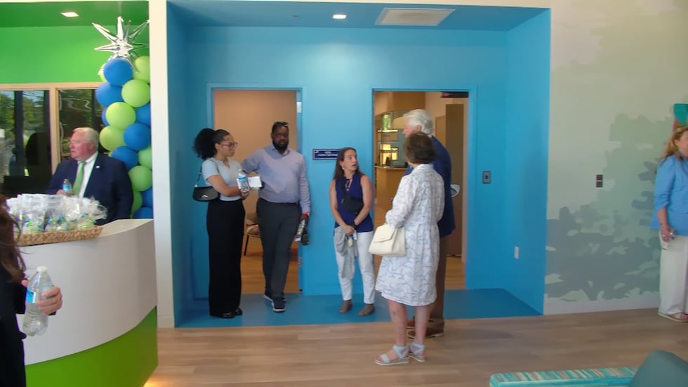 Alliance Healthcare Services says its Children's Wellness Center will serve as a mental health...