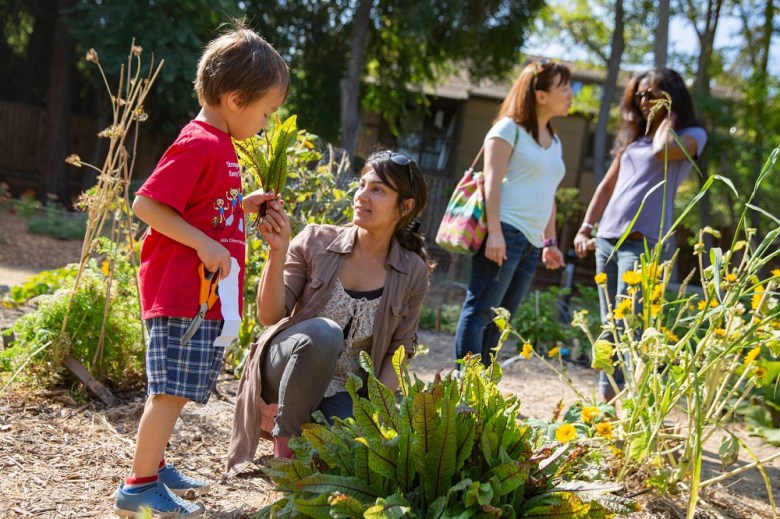 Tour the gardens at Heritage Park and sample harvested produce during the Harvest History Festival in Mountain View. (Photo by Natalia Nazarova)