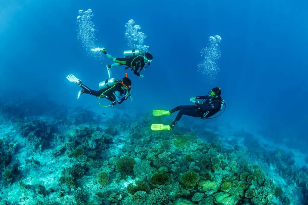 Scuba diving: 'Joyful, relaxed and able to think clearly'
