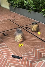Propane tanks recovered from the vehicle that drove into the Multnomah Athletic Club on May 2, 2026.