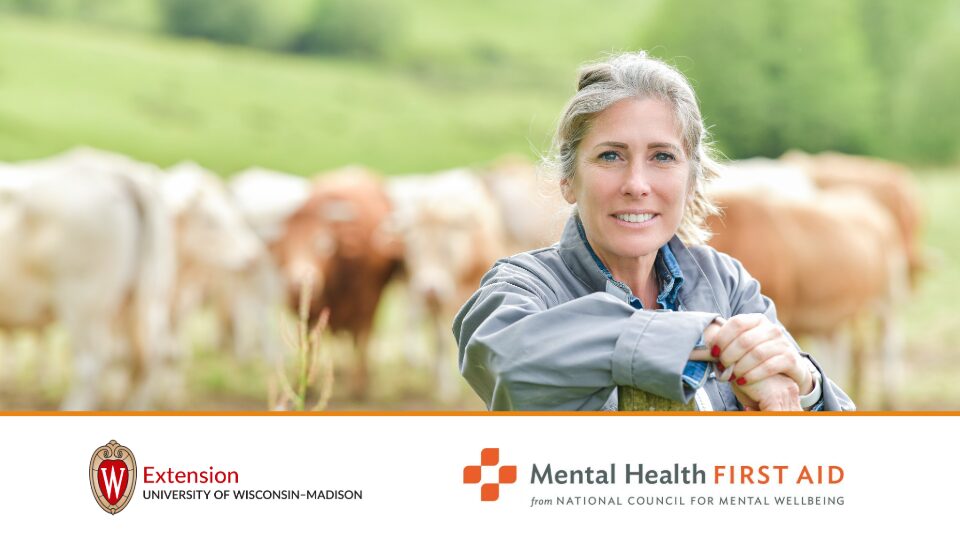 Mental Health First Aid Provides Guidance