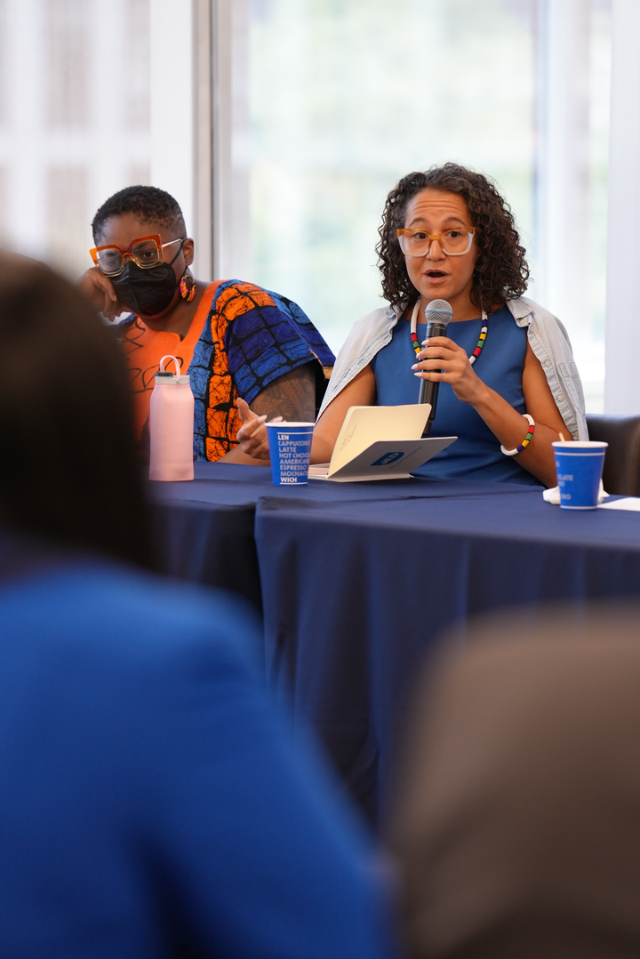 The author speaking at a New York City Council convening for youth mental health, discussing technology and service provision.