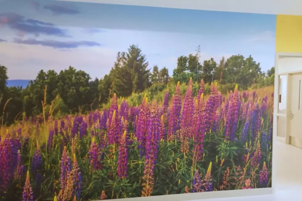 Hackensack Meridian Health's Carrier Clinic in NJ has expanded to include critical mental health services to kids as young as 7 years old (HMH)