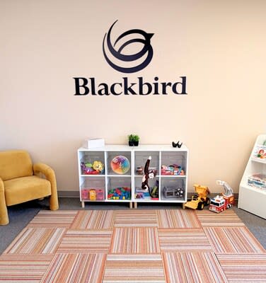 Blackbird Health in Lancaster offers timely access to mental health evaluations, therapy, medication management, and coordinated care designed specifically for children and adolescents.
