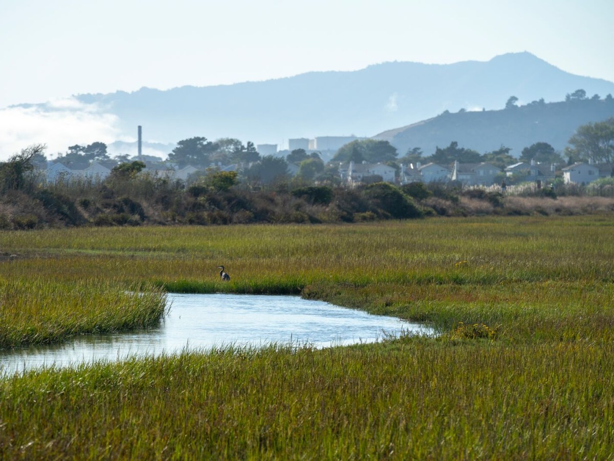 Zeneca site: Prime home spot or toxic danger-zone?